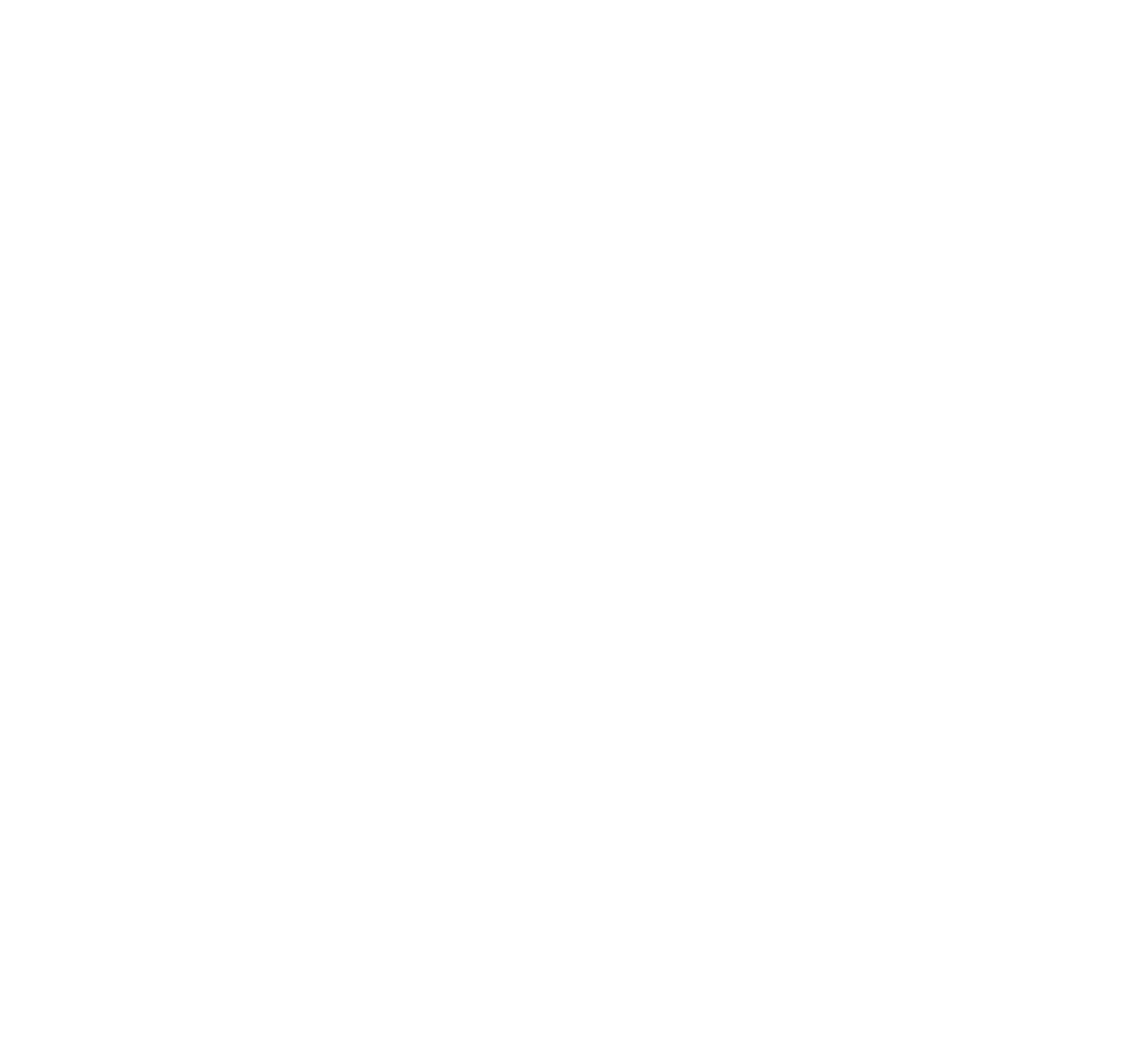 LionsLogo